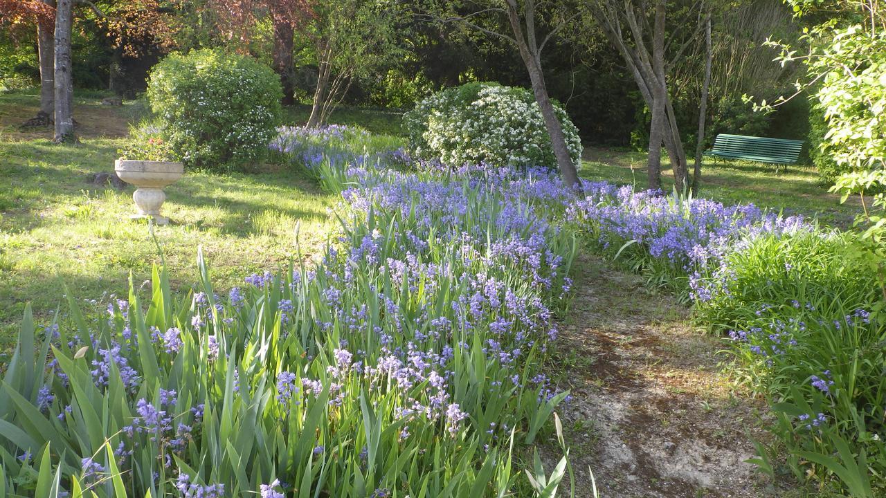 Gennes-Val-de-Loire Le Manoir De La Baldette Bed & Breakfast エクステリア 写真