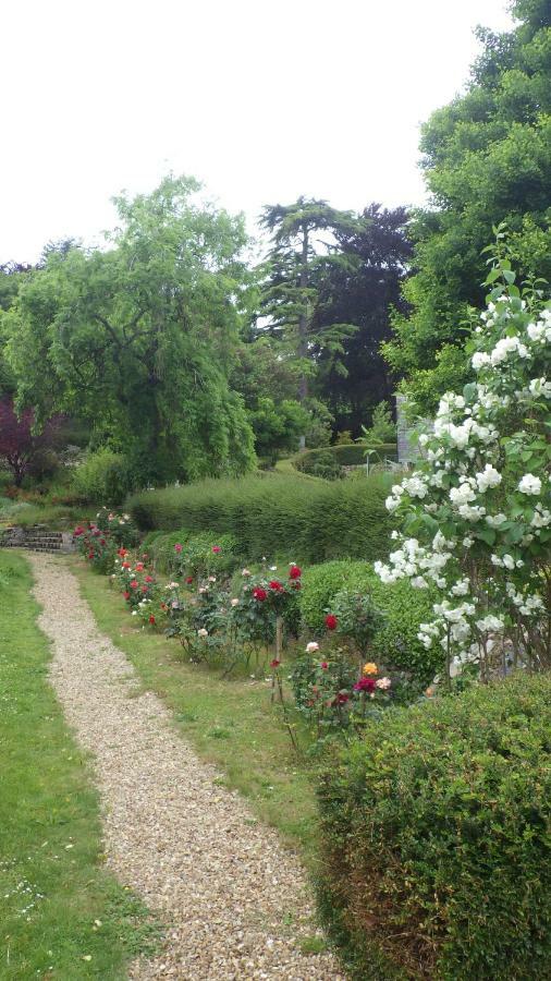 Gennes-Val-de-Loire Le Manoir De La Baldette Bed & Breakfast エクステリア 写真
